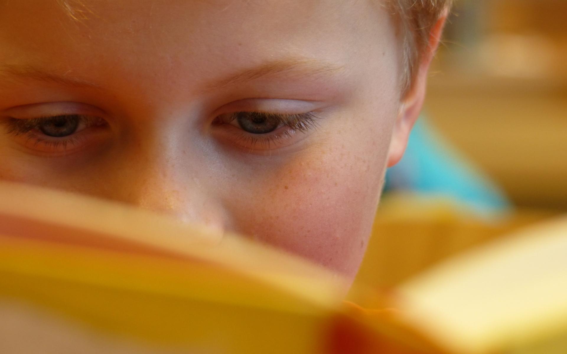 Bub mit aufgeschlagenem Buch. Gesicht halb verdeckt