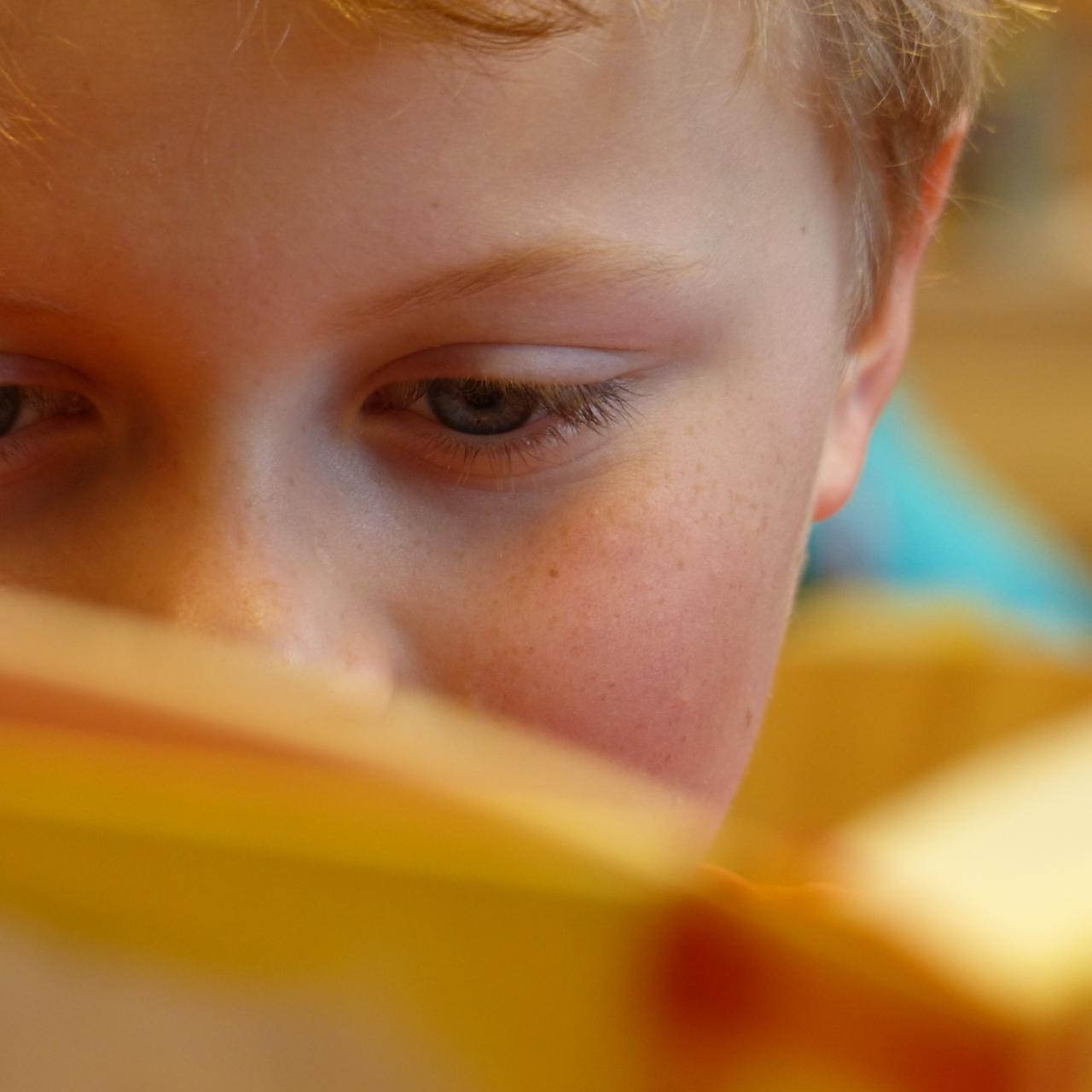 Bub mit aufgeschlagenem Buch. Gesicht halb verdeckt